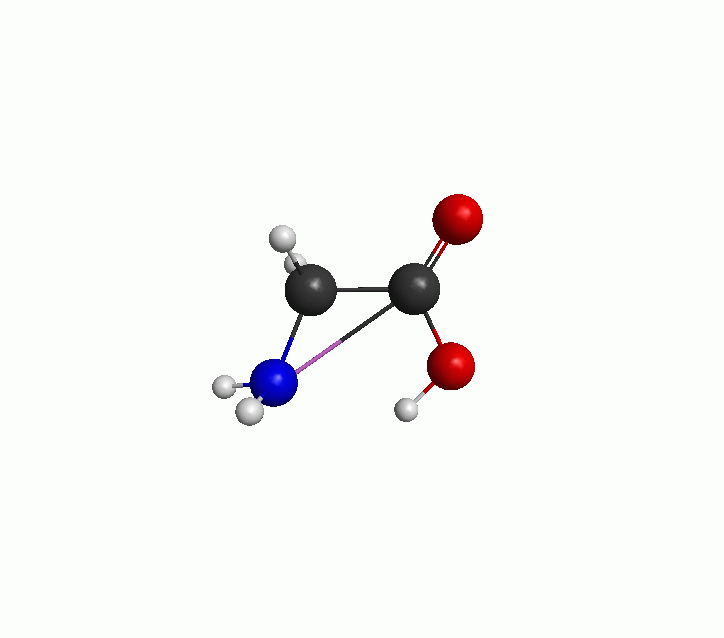 Modelling Glycine in water